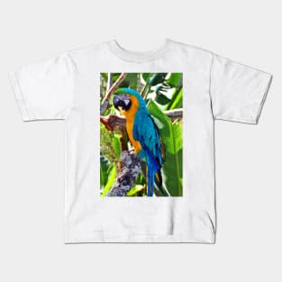 Macaw Parrot Yellow And Blue Bird Kids T-Shirt